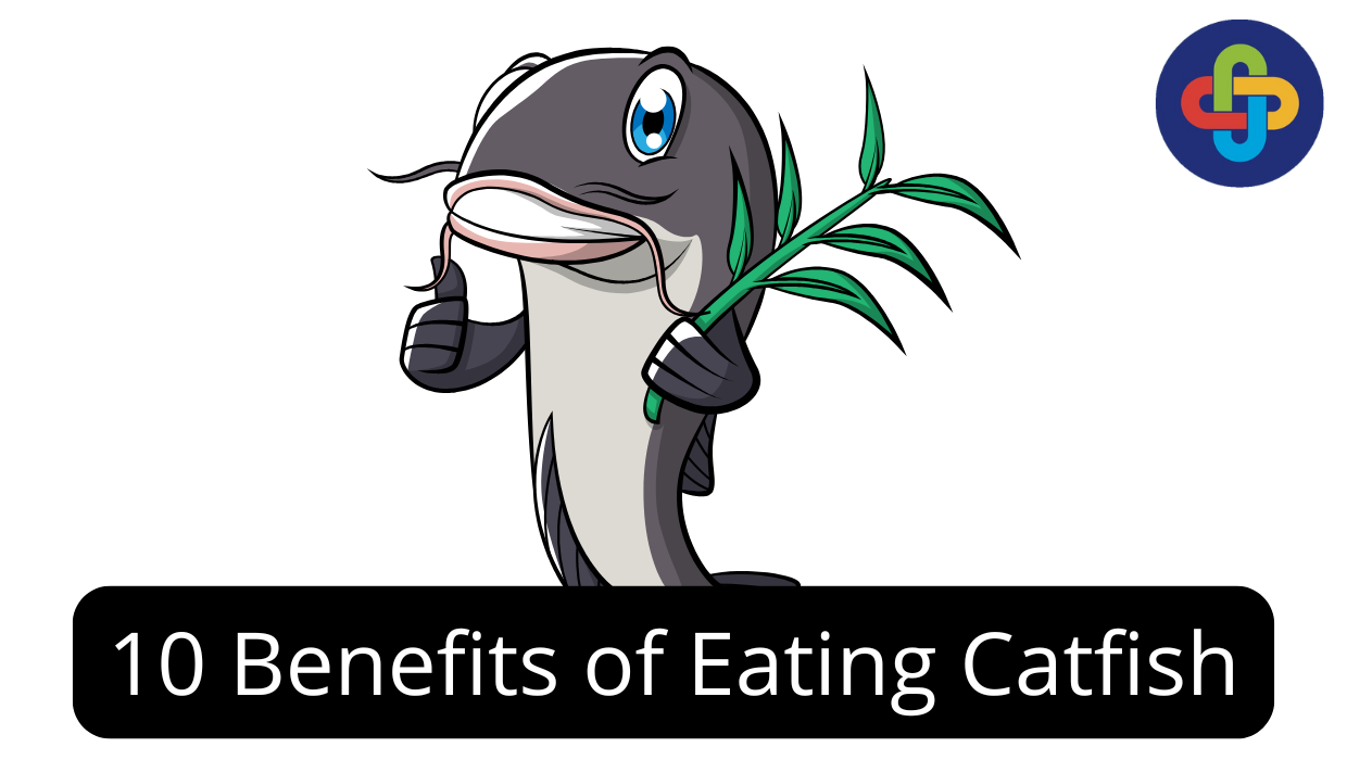  10 Benefits of Eating Catfish